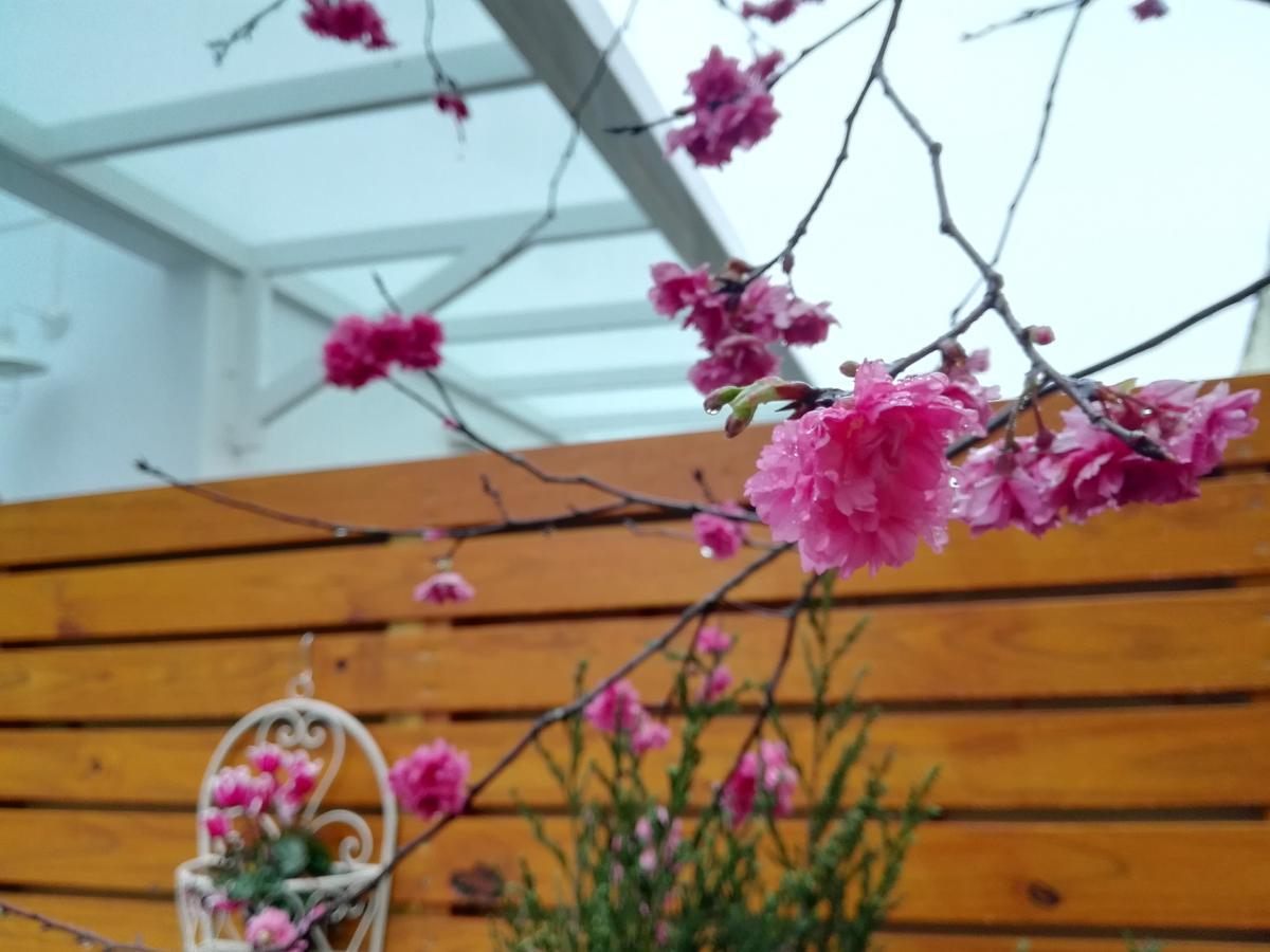 Cloud & Green Private Guest House 풀리 외부 사진